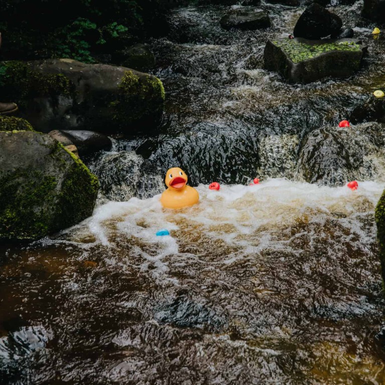 KGP - duck race