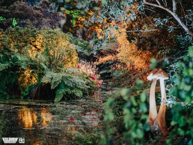 Kelburn Garden Party 2025