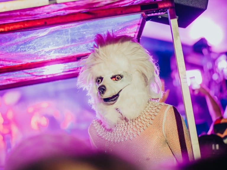Kelburn Garden Party 2026 Images